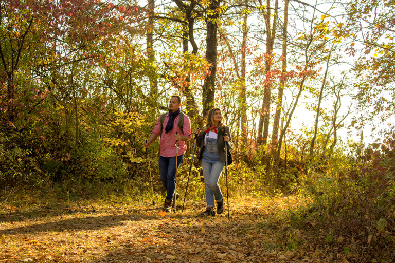 Natur entdecken- Wandern im Herbst im Lieblichen Taubertal