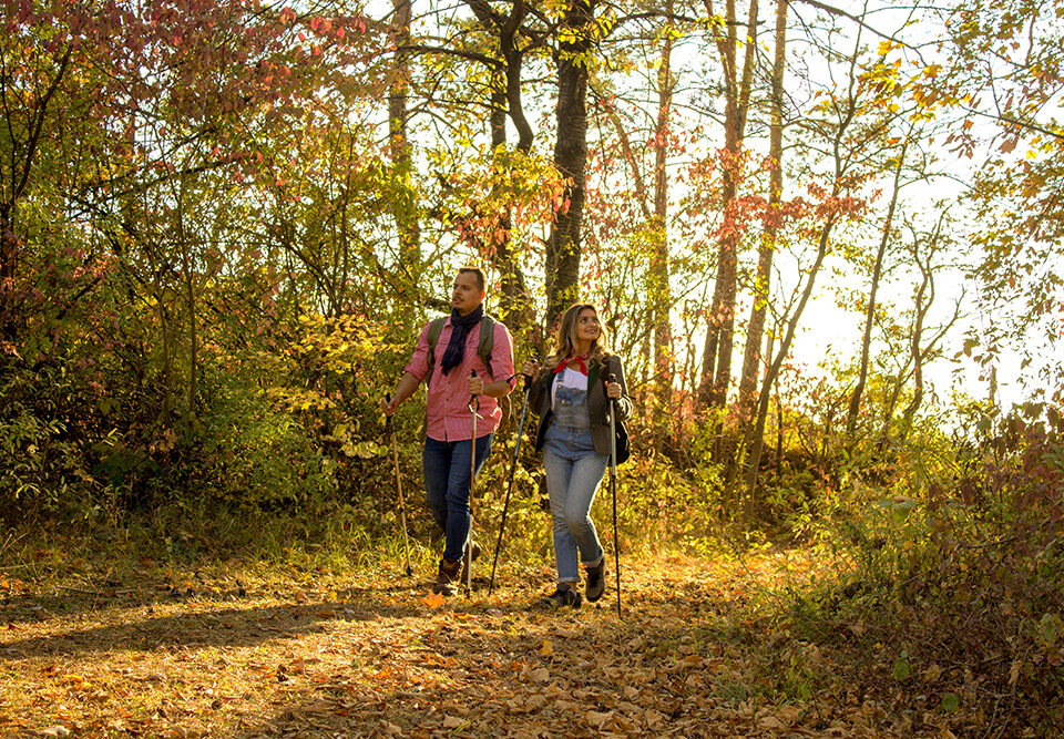 Natur entdecken- Wandern im Herbst im Lieblichen Taubertal